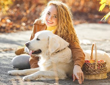 Cómo enseñar a mi perro a que orine donde yo quiero - Apréndete