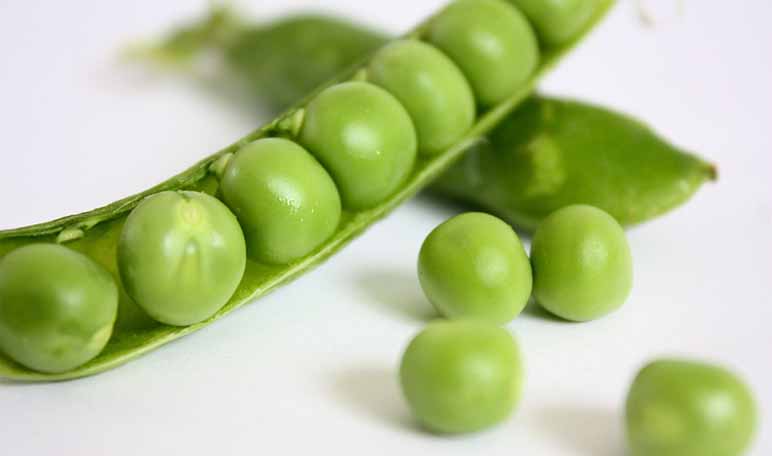 Cómo preparar guisantes con jamón - Apréndete Cómo preparar guisantes con jamón - Apréndete