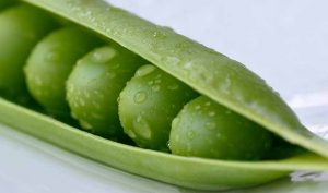 Cómo preparar guisantes con jamón - Apréndete