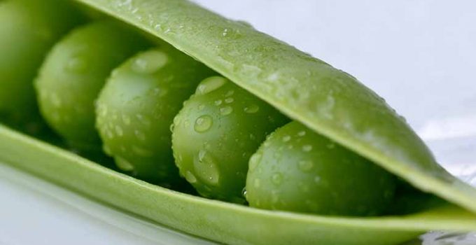 Cómo preparar guisantes con jamón - Apréndete