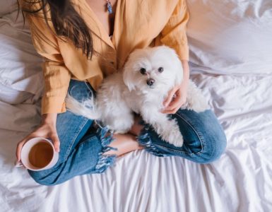 Los 10 nombres para perros más populares - Apréndete