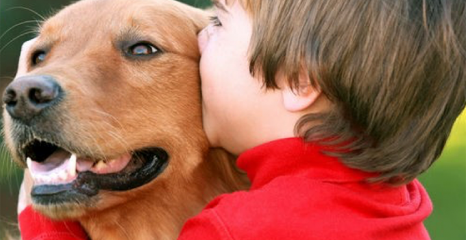 10 razas de perros ideales para tener como mascota