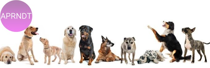 7 razas de perros más antiguas