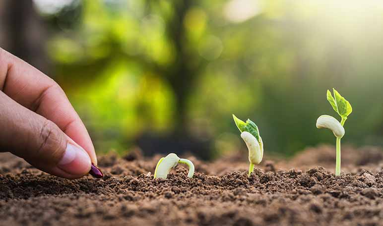 Los imprescindibles para el jardín - Apréndete