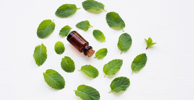 7 beneficios del aceite de menta - Apréndete