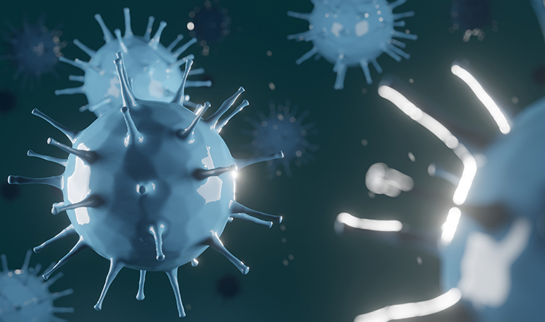 #CoronaVirusStop, una web que facilita la detección de posibles focos de Covid-19 - Apréndete